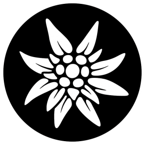 Edelweiss PNG-66282